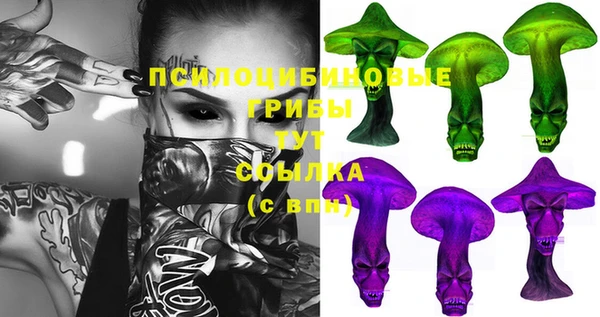 прущая мука Алзамай