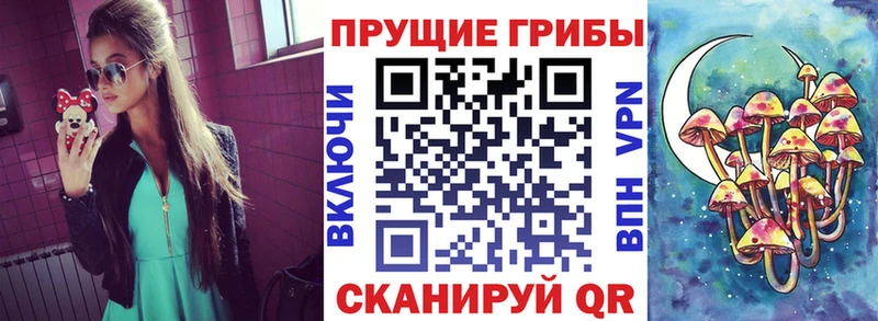 Галлюциногенные грибы GOLDEN TEACHER  купить  сайты  Ахтубинск 